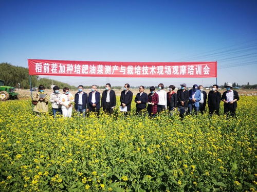飼料綠肥油菜種植加工綜合利用關鍵技術研究與示范現場觀摩會成功舉辦，助推種植技術開發與集成應用