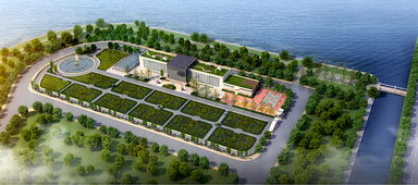 青島海水稻研發中心揭牌，首代稻種預計11月問世，技術開發引領農業新篇章