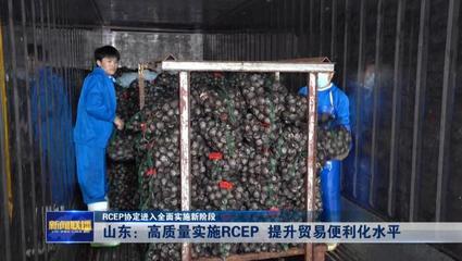 RCEP協(xié)定進(jìn)入全面實施新階段——山東高質(zhì)量實施RCEP提升貿(mào)易便利化水平，推動貨物進(jìn)出口發(fā)展