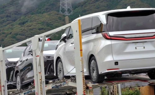 國(guó)產(chǎn)車(chē)或許難敵的神車(chē)？地表最貴“面包車(chē)”雷克薩斯LM售價(jià)揭曉