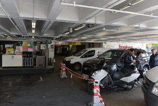 法國動用國家戰略石油儲備應對油荒的法律框架與影響