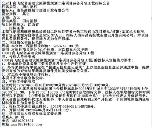 商飛配套基礎設施滁槎規劃二路項目勞務分包工程招標公告